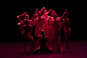  DSC2010