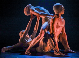 PALINGÉNÉSIE Po-Hsiang Chuang-16