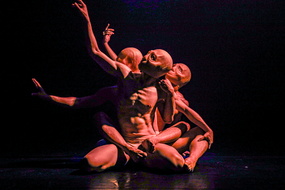 PALINGÉNÉSIE Po-Hsiang Chuang-28