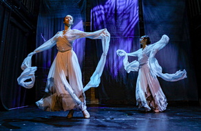 INDIGO Ping Shadow Dance-6