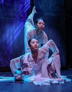 INDIGO Ping Shadow Dance-10