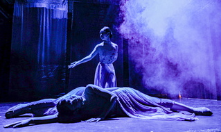 INDIGO Ping Shadow Dance-26