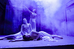 INDIGO Ping Shadow Dance-27