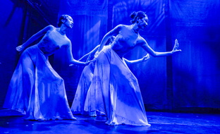 INDIGO Ping Shadow Dance-31