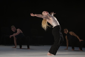  DSC2538