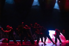  DSC6602