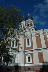 DSC 5306