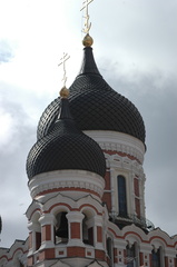 DSC 5329