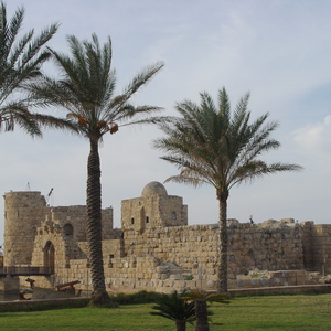 Saida