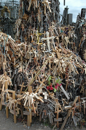 DSC 5431