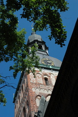 DSC 5253