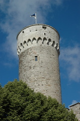 DSC 5317