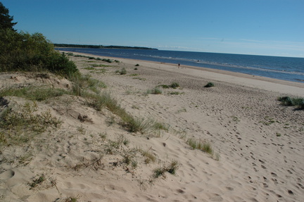 DSC 5391
