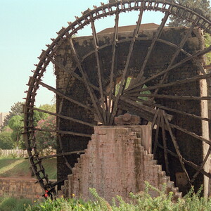 Hama