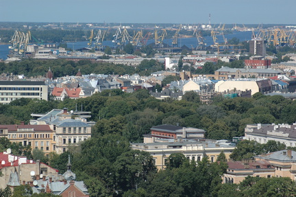 DSC 5241