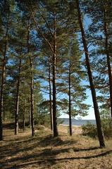 DSC 5398