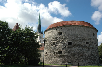 DSC 5355