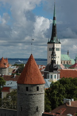 DSC 5323