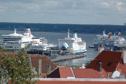 DSC 5325