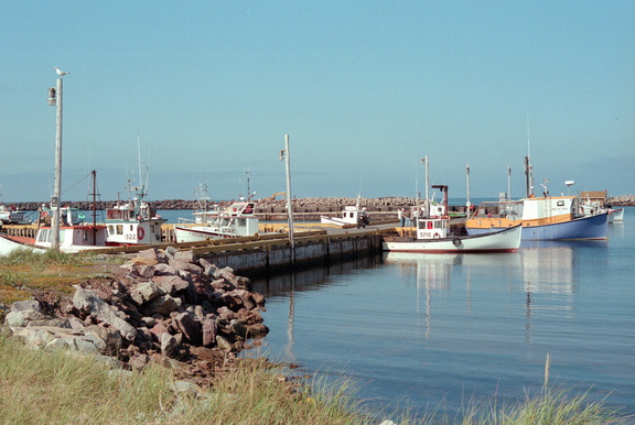 Scan-120622-0075