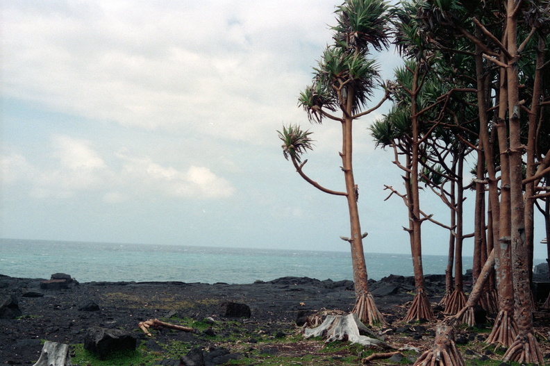 La Réunion Piton de la Fournaise 120.jpg