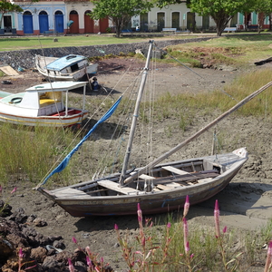 Alcantara