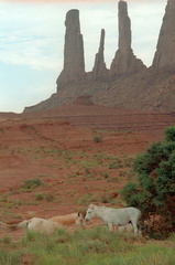 Monument Valley 330