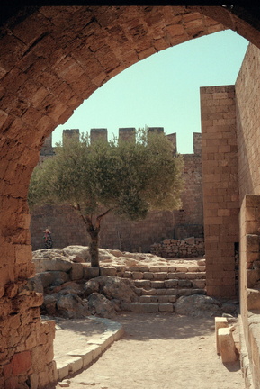 Scan-141230-0206