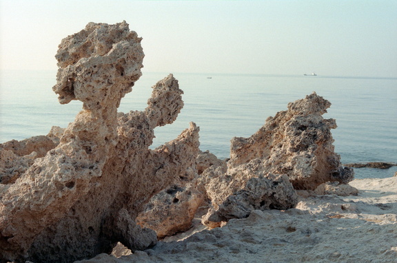 Scan-141230-0059