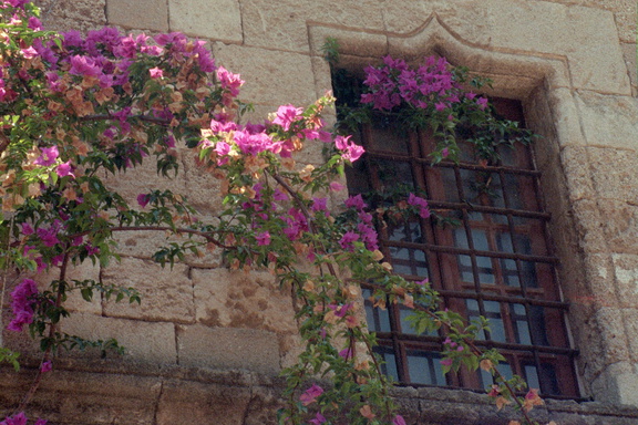 Scan-141230-0081