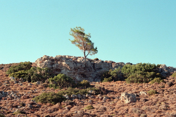 Scan-141230-0185