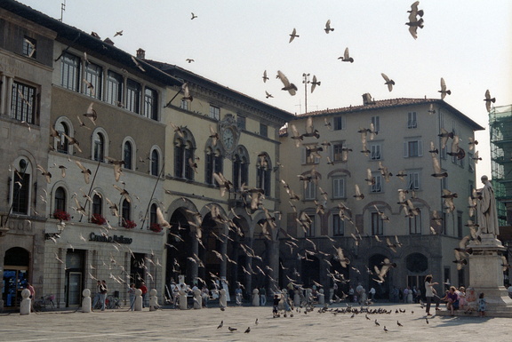 Florence 210