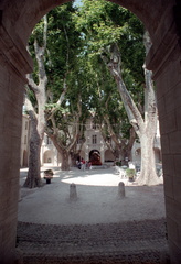 Avignon 100