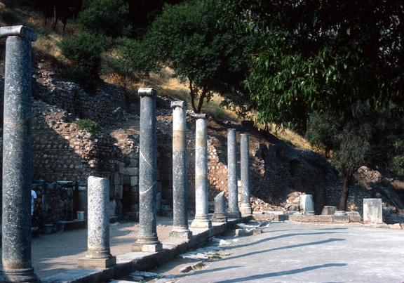Delphes 015