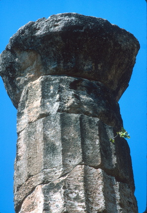 Delphes 050