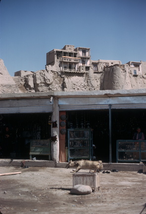 Ghazni 020