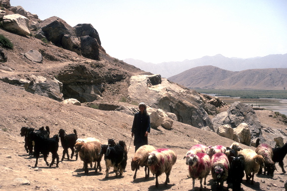 Salang 070 (853 visits) Salang 070