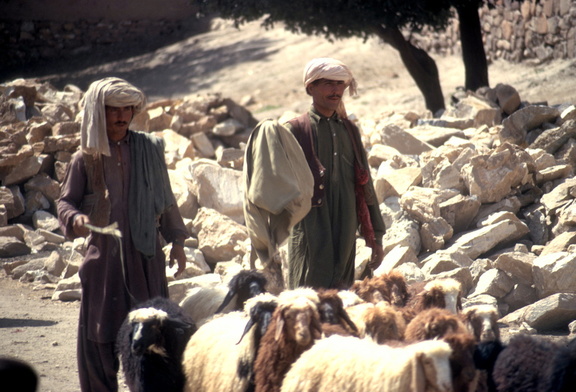 Salang 090 (786 visits) Salang 090