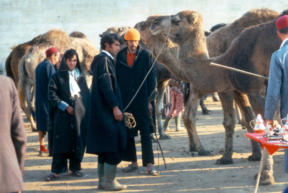 Tunisie 010