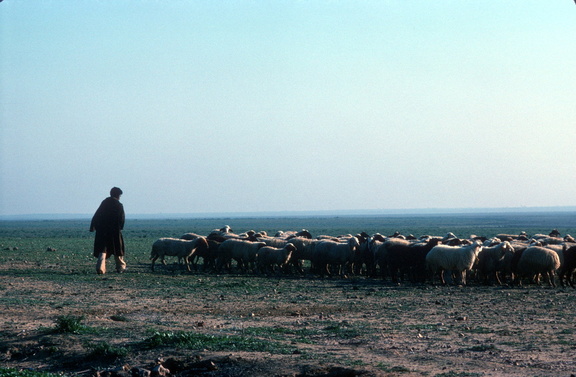 Tunisie 170