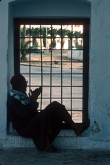Tunisie 550