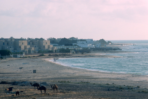 Tunisie 650