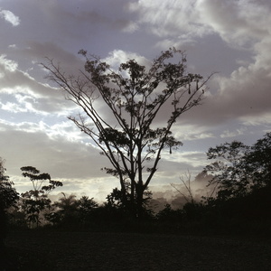 Pérou