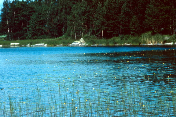 Finlande - 0140