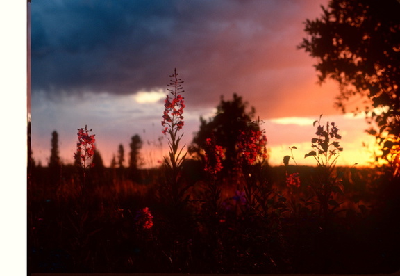 Finlande - 0240