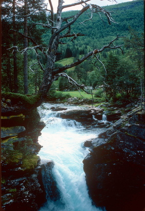Norvège - 0280