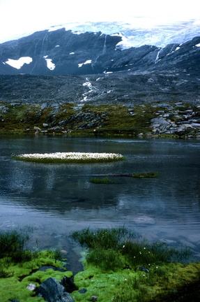 Norvège - 0350
