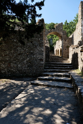 PS1Z8359